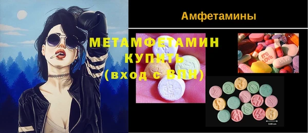 шишки Осташков