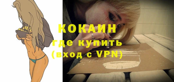 шишки Осташков