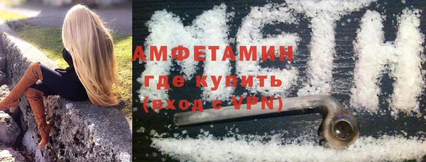шишки Осташков