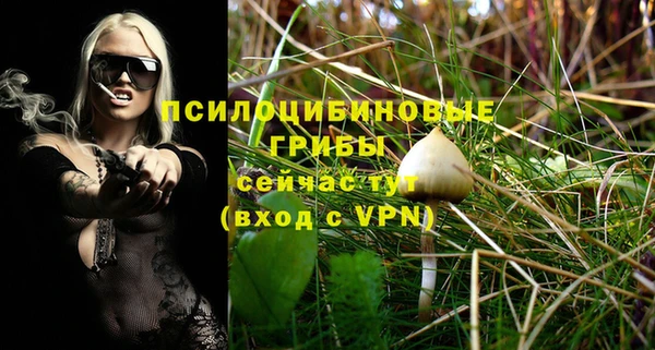 гидра Остров