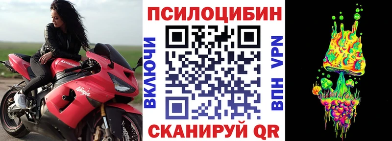 Псилоцибиновые грибы мухоморы  Купить закладки  Райчихинск 